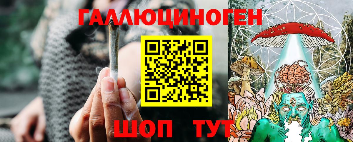 Псилоцибиновые грибы Cubensis Павлово